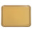 Anatomy Tray Dissektionsplatte 10