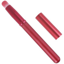 Lippenborstel Lipglossborstel 1 Set Voor Vrouwen En Make-upliefhebbers