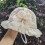 Sun Cap, Bucket Hut Mit , Beige 5