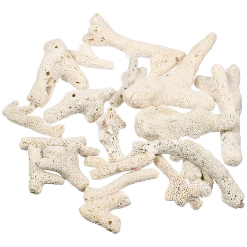 3Stk 500G Aquarienfiltersteine 3-10Cm