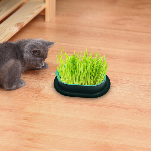 Mlins 3 Pflanzen Gras Pflanzkasten Set 2