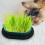 Mlins 3 Pflanzen Gras Pflanzkasten Set 5
