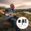 Sections Equalizer Gitarrenpickup 6