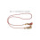 2St Afstudeer Kwast Accessoires Diploma 3