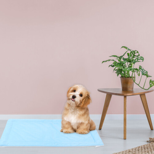 Pet Hondenwelpenbed Polyester Auto 1 Set 2
