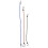 3St Luggage Bungee Cord Elastische Bindingsriem Met Haak 6