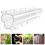 Shape Gurke Bio Gemüseform Transparent 9
