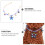 Pet Halsband Eisen Hochzeitsaccessoire 11