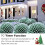 3X2M LED Net Mesh String Light Christmas Fairy Light(Cool White) 6