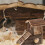 Chinchilla Käfig Zubehör Hamster 1 Set 9