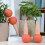 4 Basketball Seeper 17,00x7,00x7,00 Cm 8