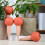 4 Basketball Seeper 17,00x7,00x7,00 Cm 6