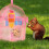 Chinchilla Hamster Transportbox Mit Futterer Set 2