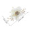 2 Paar - - -Schnalle -Clip 2