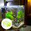 Fischfutterautomat Aquarium Hängender Mini Fütterungs-Schwimmrohr 3