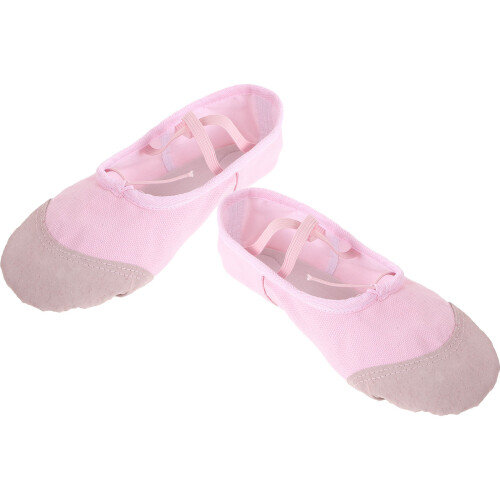 1 Paar Ballettschuhe Für Rosa