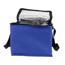 Isolierte Lunchtasche Für Heiße Speisen Lebensmittel