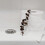 Toilettenknopf Kunststoff Universal 5 St 5