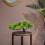 Zen Japanische Bonsai Künstliche 11