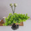 Zen Japanische Bonsai Künstliche 10