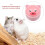 2 Kleintierbehälter Chinchilla Futterautomat Hamster Futtertrog 10