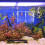 Fish Brutkasten Transparent Kunststoff Doppelschichtig 1Set 10