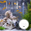 Fish Brutkasten Transparent Kunststoff Doppelschichtig 1Set 4