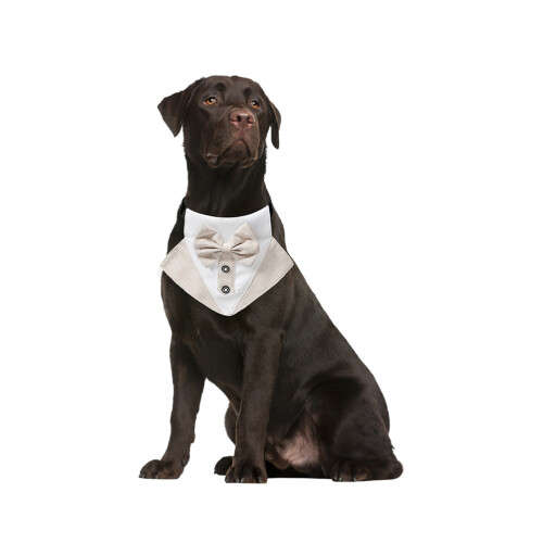 Pet Bib Taschentuch Kleidung 2