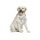 Pet Bib Taschentuch Kleidung 2