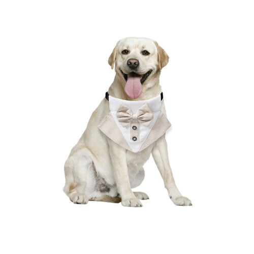 Pet Bib Taschentuch Kleidung 1