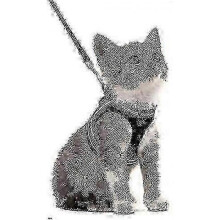 (S) Harness Kitten Harness Withlead, Soft Adjustable Comfort