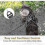 (S) Harness Kitten Harness Withlead, Soft Adjustable Comfort 5