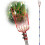 (65inch)Fruit Picker Pole Tool with Basket Telescoping Long Handle 1