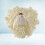 Ringträger Für Hochzeit Rose Ringbox 7