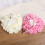 Ringträger Für Hochzeit Rose Ringbox 6
