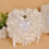 Ringträger Für Hochzeit Rose Ringbox 3
