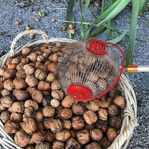 (S) Acorn Nut Picker Roller - Side Opening Dump Walnut Pinecone Gatherer 1