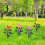 4 Kunststoffblumen Für Gartenzäune 9