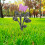4 Kunststoffblumen Für Gartenzäune 4