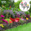 4 Kunststoffblumen Für Gartenzäune 2