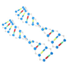 Science Modell Dna Doppelhelix Bunt 2