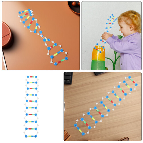 Science Modell Dna Doppelhelix Bunt 2 2