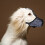Puppy Loop Hond Mondkap Muzzle Mask Tegen Bijten Lijken 5