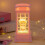 (Pink Phone Booth Girl) Wind lantern night light snow wind lantern 1