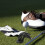 5 Plastic Liner Golfbal Markering 7