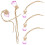 5St Rosé Car Perfume Bottle Pendant Essentiële Diffuser Decor 1