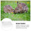 Bunny Hooi Dispenser Wit ABS 1 Binnenverzorging 11