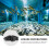 Aquarium Simulation Stone Ornamente Für Fischtank 10