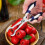 Raindrops Tomatenentkerner Kernentferner 1 Satz 3
