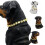 Titanium Hundehalsband Kette 7